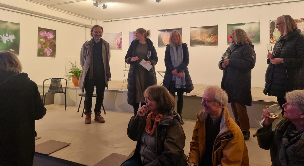 Die Schönen Wilden auf unserem Balkon