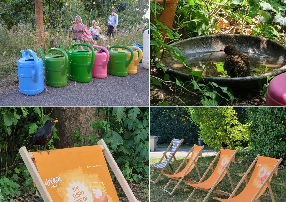 Titelbild newsletter JUli